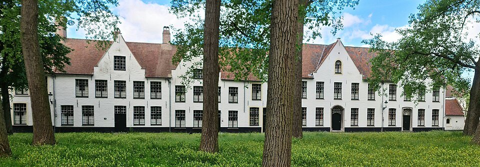 A long row of whitewashed houses seen between tall tree trunks