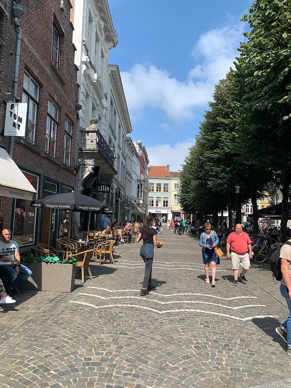 Café terraces under trees on the Simon Stevinplein