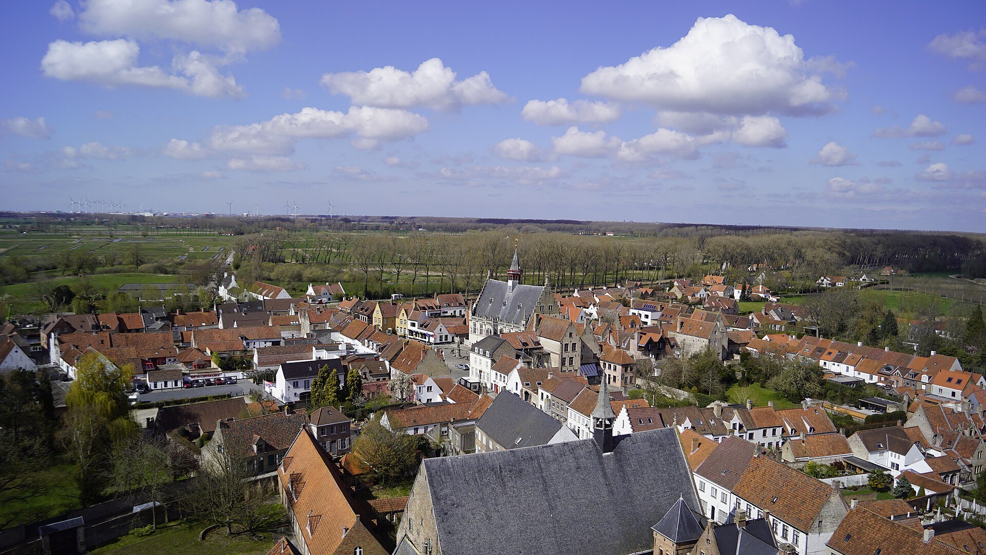 The roofs of Damme and the flat country beyond, from above