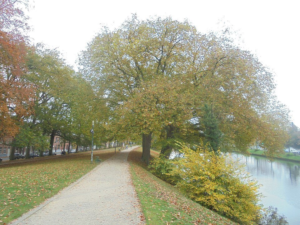 The rampart path in autumn beside the outer canal