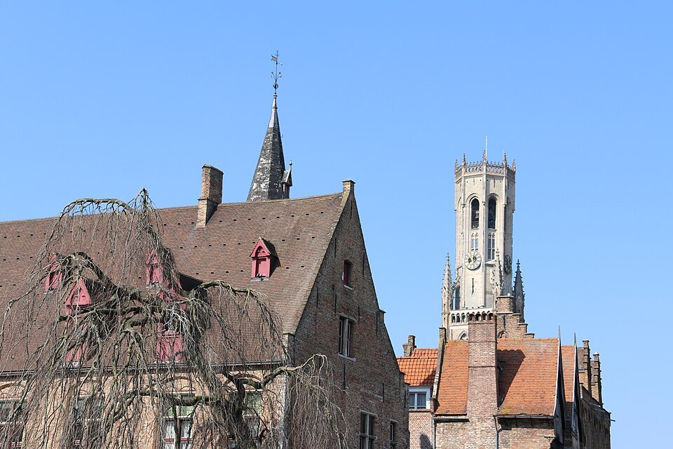 A bare willow against the Belfry and brick roofs on a clear day