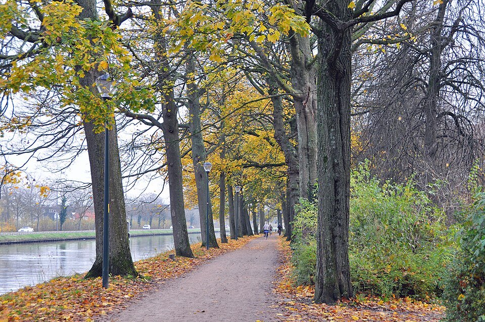 The rampart path under autumn trees beside the outer canal