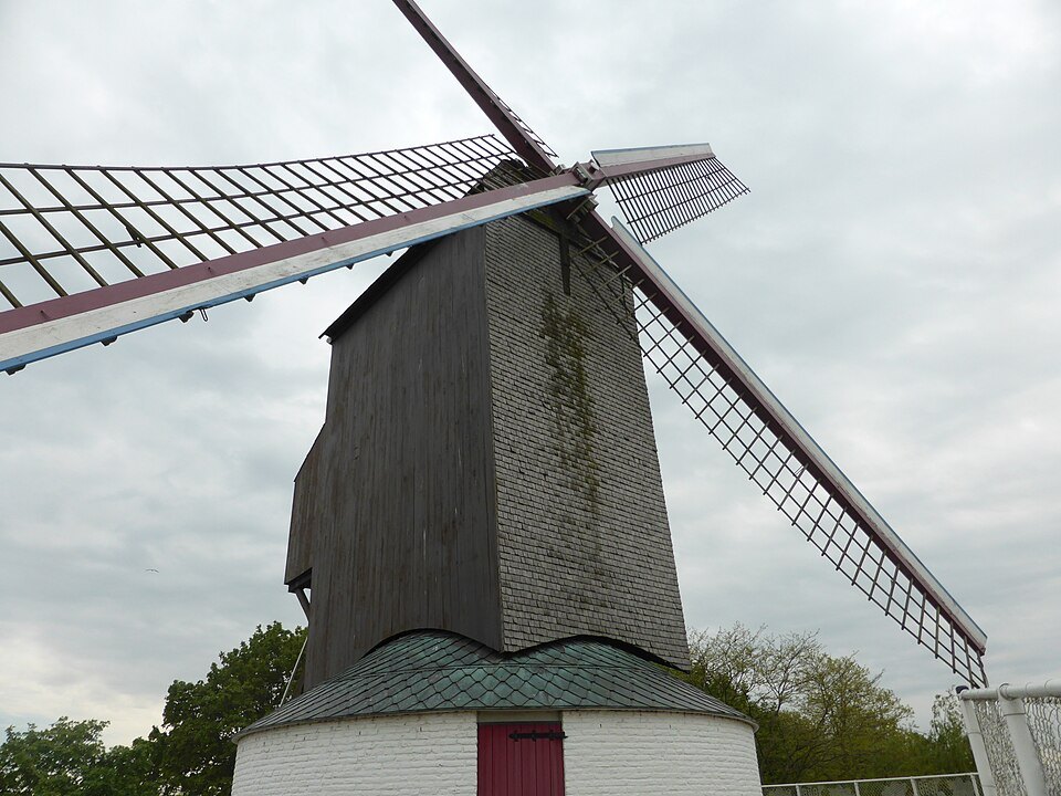 The wooden body and sails of the Koeleweimolen above its white base